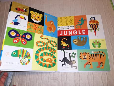 Lift the flap  animals / colours, 