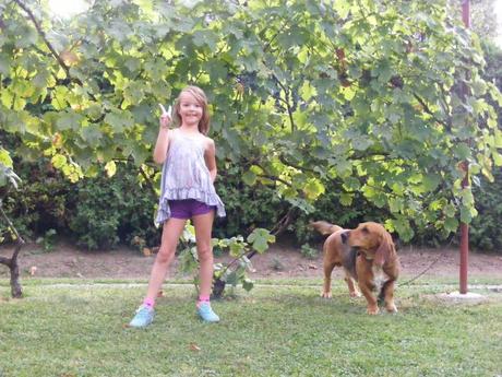 Tunika zn. next - 110/116 - 122, next,116