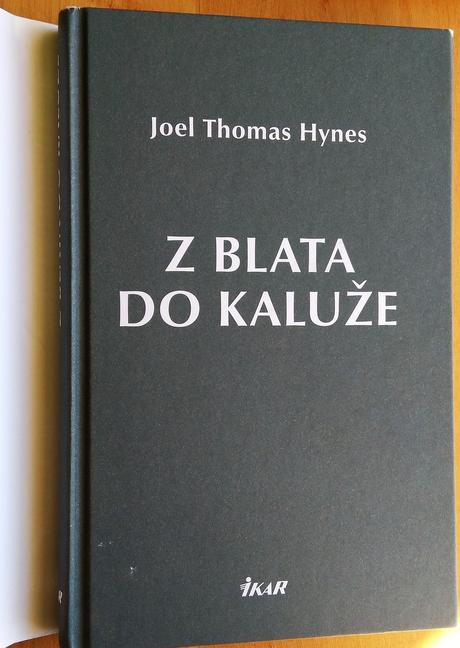 Z blata do kaluže, joel thomas hynes, 