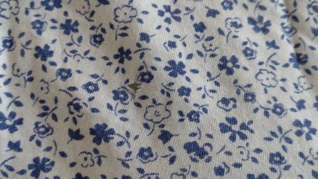 Nocna kosela, palmers,116