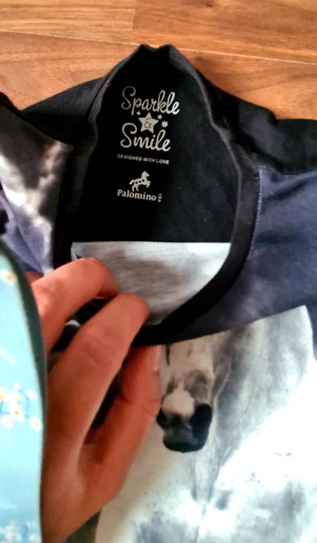 Topik s konikmi, palomino,98