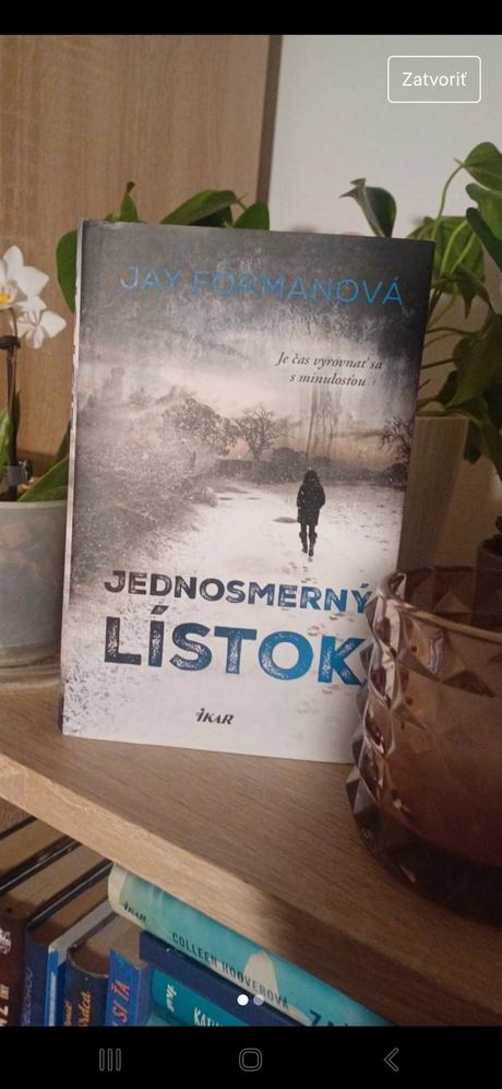 Jednosmerný lístok, 