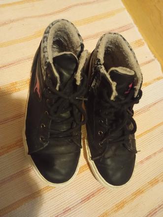 Na donosenie 36, kangaroos,36