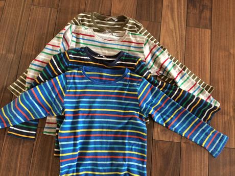 Tricena lindex, lindex,104