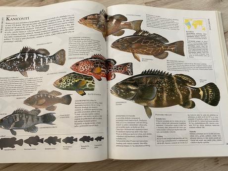 Krásna veľká obrazová encyklopédia pre rybárov, 