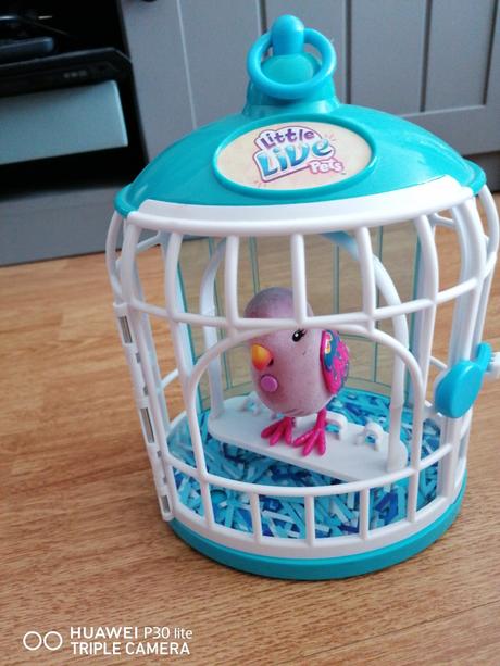 Klietka s vtáčikom, 