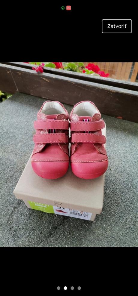 Poltopanky lasocki, lasocki,21