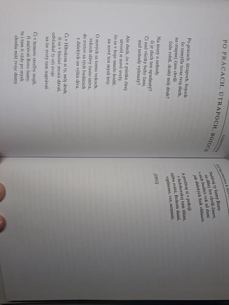 Povinné čítanie - hlavné myšlienky týchto básní?