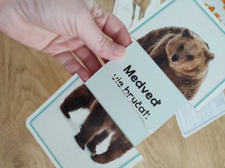 Náučné kartičky - zvieratá, 