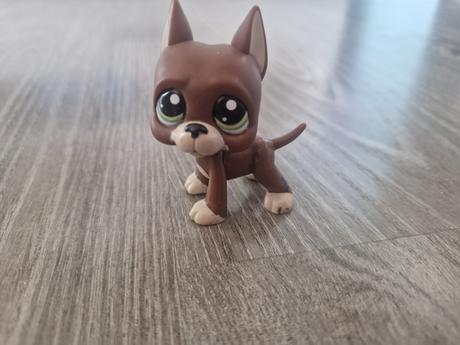 Littlest pet shop doga 1519, 