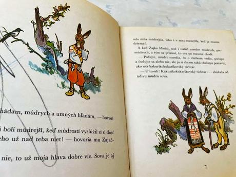 Smelý zajko v afrike,