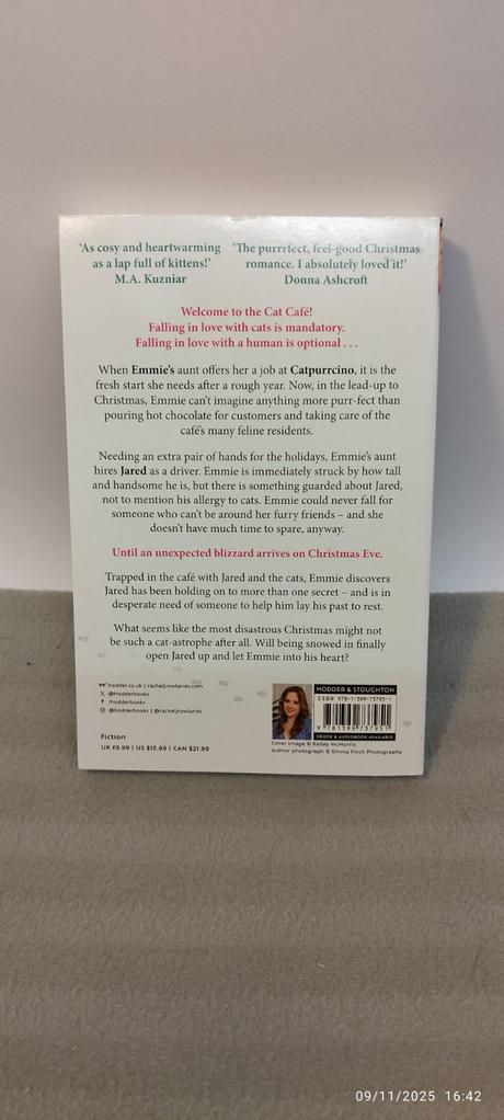 Rachel rowlands - snowed in at the cat café,