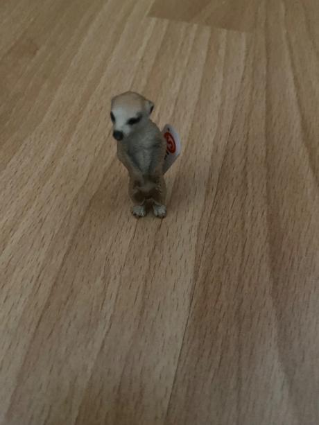 Schliech zvieratko surikata,