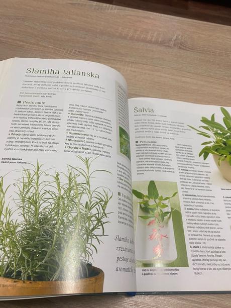 Velká kniha bylinek bylinky, 