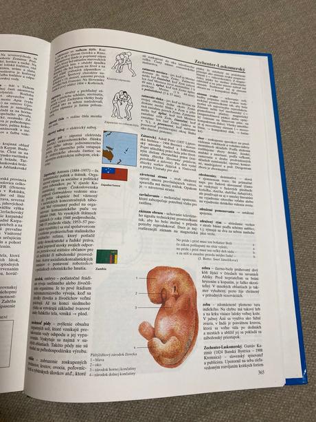 Veľký školský lexikón slovenské pedagogické nakl, 