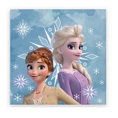 Detský uterák 30x30 frozen sestry-skladom,