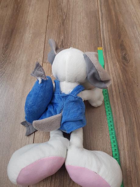 Plysak so srdieckom, 