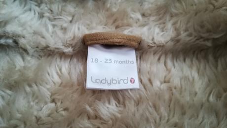 Bundička , ladybird,92