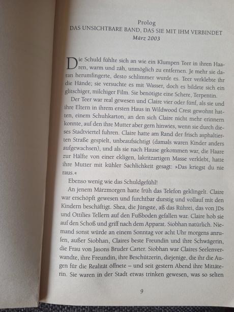 Elin hilderbrand - eine sommeraffäre - v nemčine,