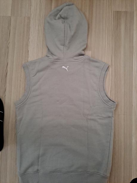 Vesta puma, puma,152