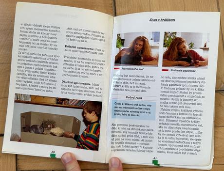 Trpasličie králiky výber chov výživ mettle michael,