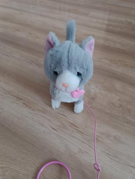 Interaktívna mačka, 