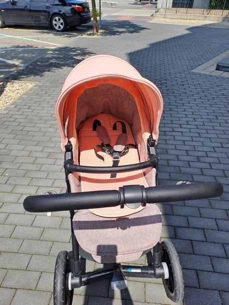 Kočík jané kawai, jané,jané kawai