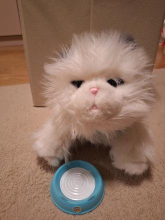 Pradúca,mňaukajúca,papajúca mačka,