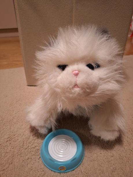 Pradúca,mňaukajúca,papajúca mačka, 