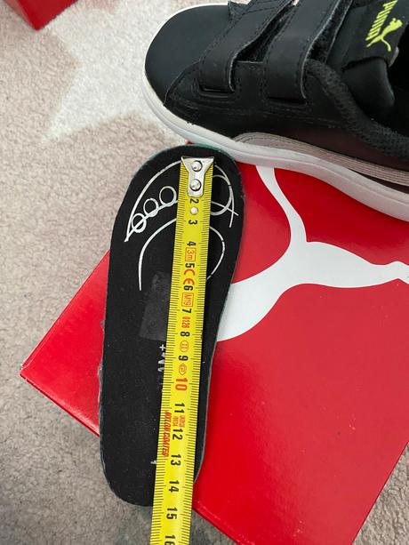 Botasky puma, puma,24