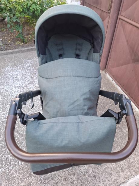 Kočík roan bloom, roan,roan bloom