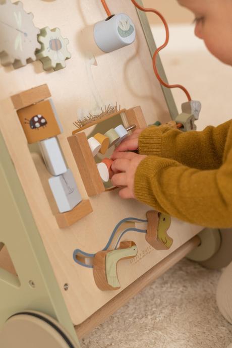 Little dutch chodítko s aktivitami goose,