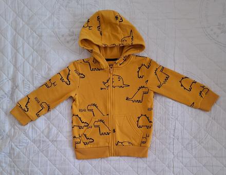 Dino mikinka, f&f,104