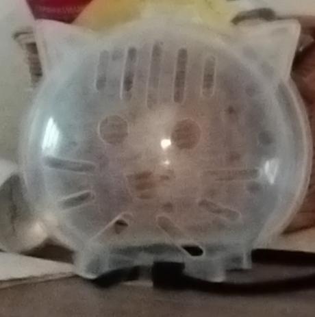 'čiapka " na strihanie nechtov a kúpanie pre mačku, 