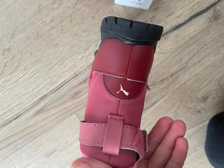 Snehule puma, puma,25