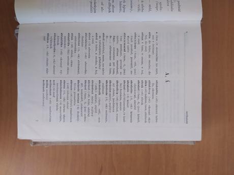 Slovensko-maďarský slovník (1959), 