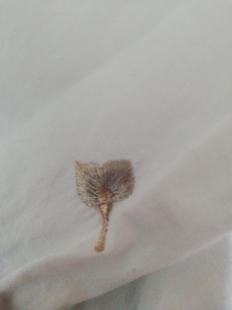 Blúzka colloseum, l