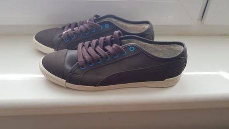 Pumy uteplene, puma,39