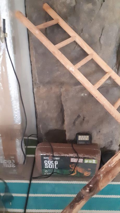 Terárium s rozmermi 50x50x90, príslušenstvo v cene,