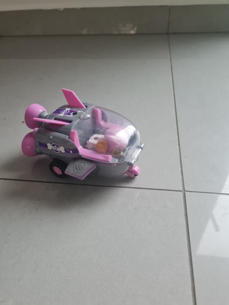 Paw patrol skye, 