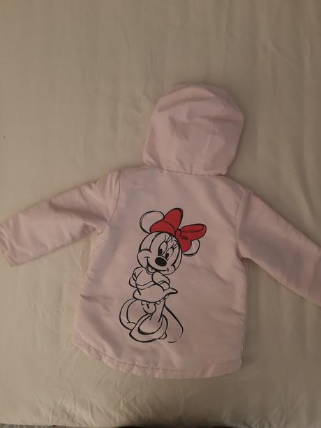 Bundička prechodná, disney,86