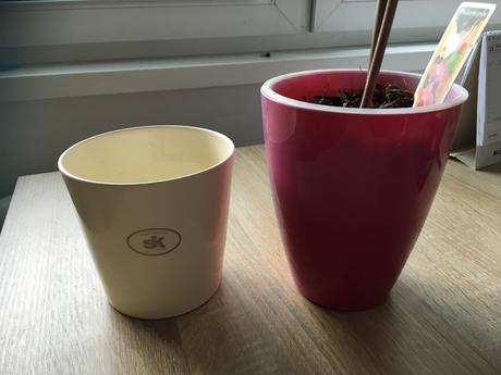 Kvetinace na orchideu,