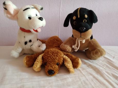 Plysaky psy, steniatka,