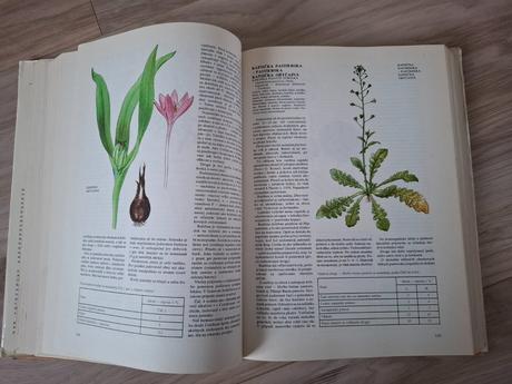 Atlas liečivých rastlín a lesných plodov, 