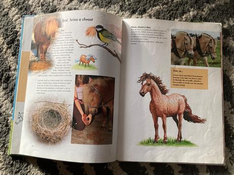 Moja prvá knižka o koňoch (2009),