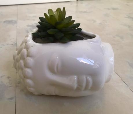 Kvetináč so skalničkou, 