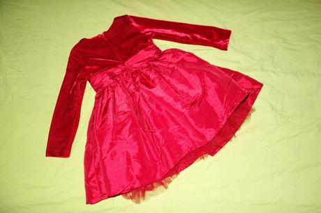 Sviatocne satocky st.bernard, st. bernard,92