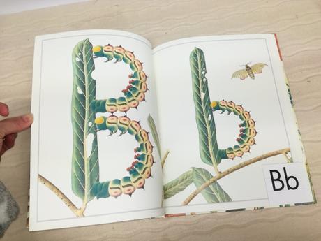 Norman messenger an artist's alphabet hb nau20, 