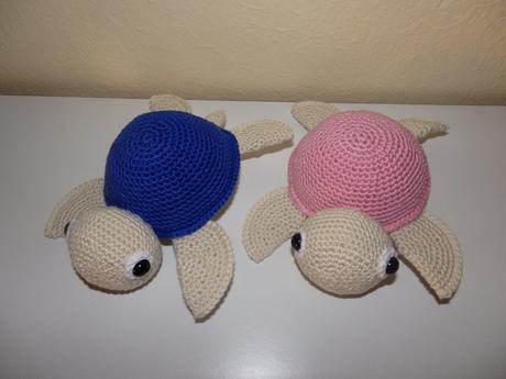 Hackovana korytnacka, 