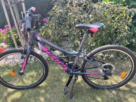 Bicykel dema pegas 24 šedý-ružový, dema,24